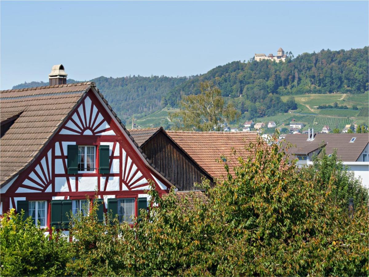 Exklusive 4.5 Zimmer Wohnung Fuer Familien Und Business Eschenz Kültér fotó